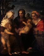 Andrea del Sarto Madonna and Child with Sts Catherine, Elisabeth and John the Baptist oil painting artist